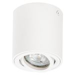 Ledvance Surface Foco Esférica Blanco| 80mm - Apta para GU10