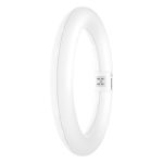Osram Tubo LED T9 Circular (EM/Mains) 11W 1320lm - 865 Luz De Día | Reemplazo 22W