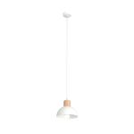 Emibig Luz de techo Seco Acero Blanco | Apta para 1x E27 - Max 15W