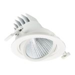 Philips Foco LED LuxSpace Accent Performance RS781B 29.5W 3850lm 36D - 830 Luz Cálida | 170mm - Dali Regulable