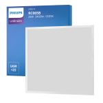 Philips Panel LED Ledinaire RC065B 28W 3400lm - 865 Luz De Día | 60x60cm - UGR <22