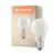 Ledvance Classic LED E27 Pera con Filamento Mate 4W 470lm - 840 Blanco Frio | Reemplazo 40W