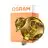 Osram Decor LED Lamp Oro Vidrio E27 3.5W 300lm - 827 Luz Muy Cálida | Reemplazo 25W