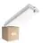 Multipack 4x Bright Choice Plafón LED Techo/Pared Blanco 3W 280lm - 830 Luz Cálida | IP66