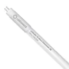 Ledvance Tubo LED T5 Value Short (HF) High Efficiency 7W 770lm - 830 Luz Cálida | 52cm - Reemplazo 13W
