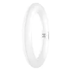 Osram Tubo LED T9 Circular (EM/Mains) 11W 1320lm - 865 Luz De Día | Reemplazo 22W