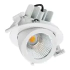 Philips Foco LED LuxSpace Accent Compact RS772B 36W 3850lm 36D - 930 Luz Cálida | 134mm - Mejor Reproducción De Color