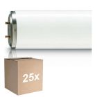 Multipack 25x Philips TL-DK 36W - Blacklight | 60cm - Insectkiller