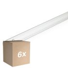 Multipack 6x Philips T8 UV - C 55W - Ultravioleta | 90cm