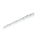 Philips Pantalla LED Estanca Ledinaire WT065C 23/42W 2900/4800lm - 840 Blanco Frio | 120cm - Cableado De Paso